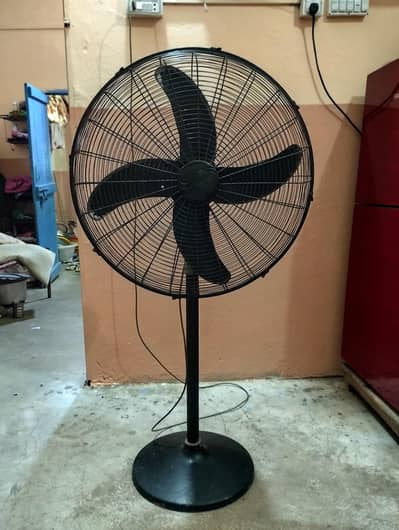 Pak Fan 24 Inch Full Size Pedestal Fan - 100% Pure Copper Motor