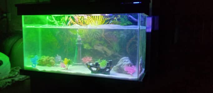 Fish Aquarium with Accessories |  3 x 2 x 1 Feet