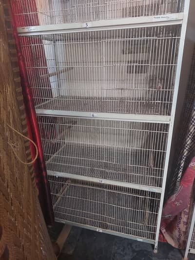 3×1.5 cage 4 porshhion sale with keker box free. 9500.