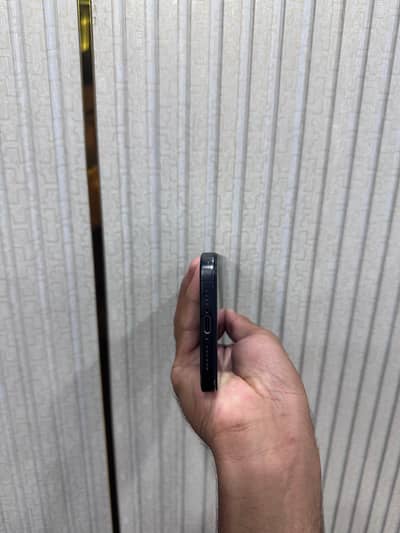 iphone 15 pro max factory