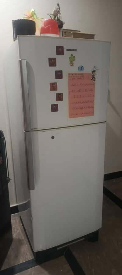 Fridge Bought in Saudi Arabia