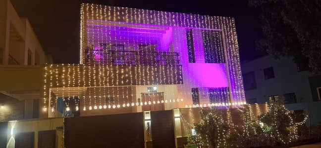 Wedding Lights/House Light/Building Light/Light Decor