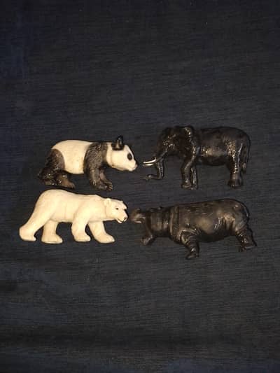 amazing quality animals