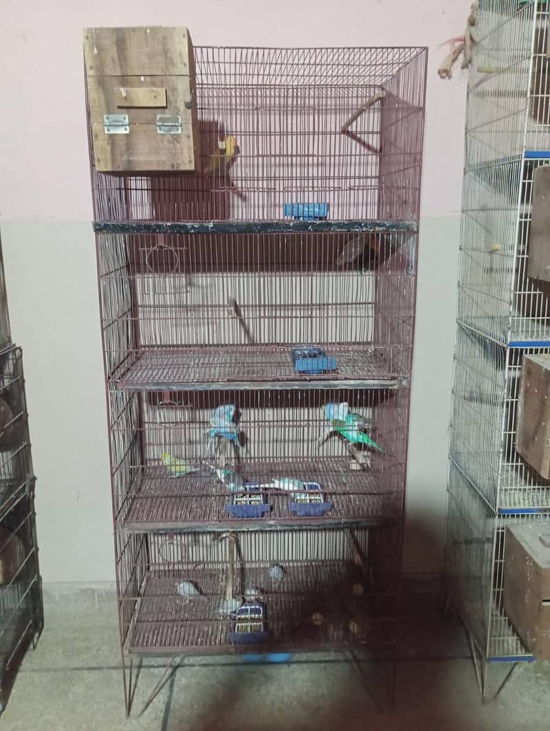 Cage nd Boxes ( Read Description ) 0