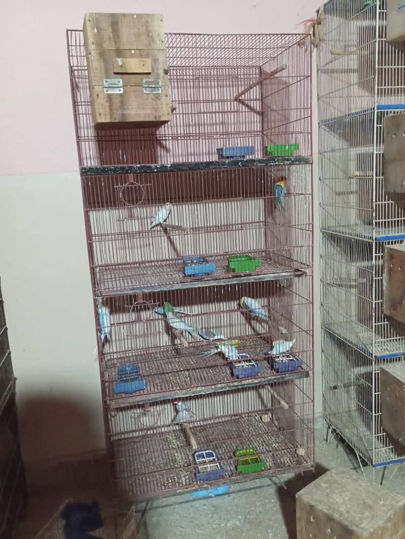 Cage nd Boxes ( Read Description ) 1