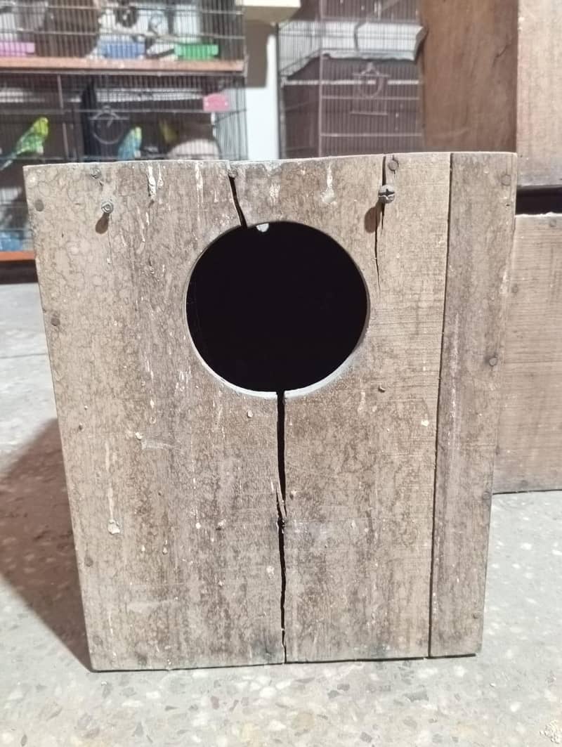 Cage nd Boxes ( Read Description ) 3