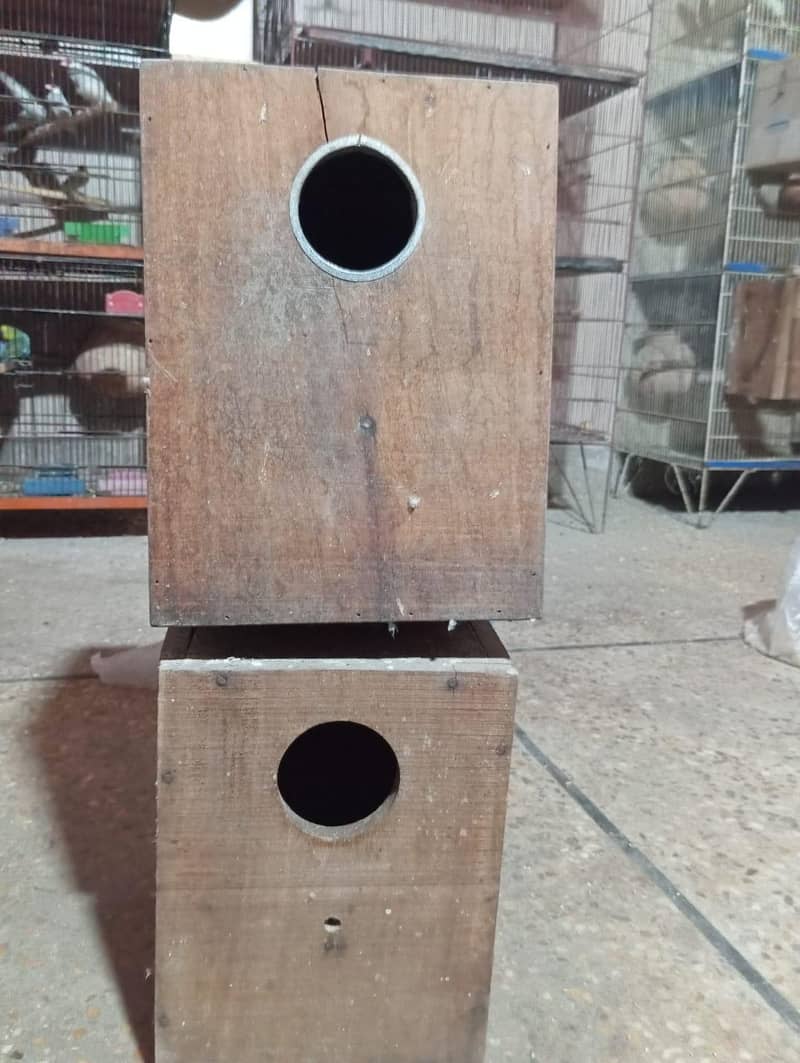 Cage nd Boxes ( Read Description ) 4