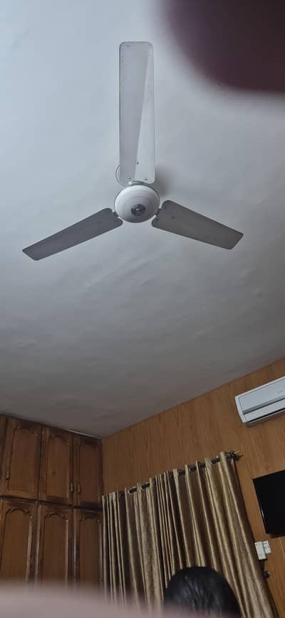 Cieling Fans for sale Pak Fan