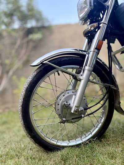 Honda CG 125 golden edition 24/25