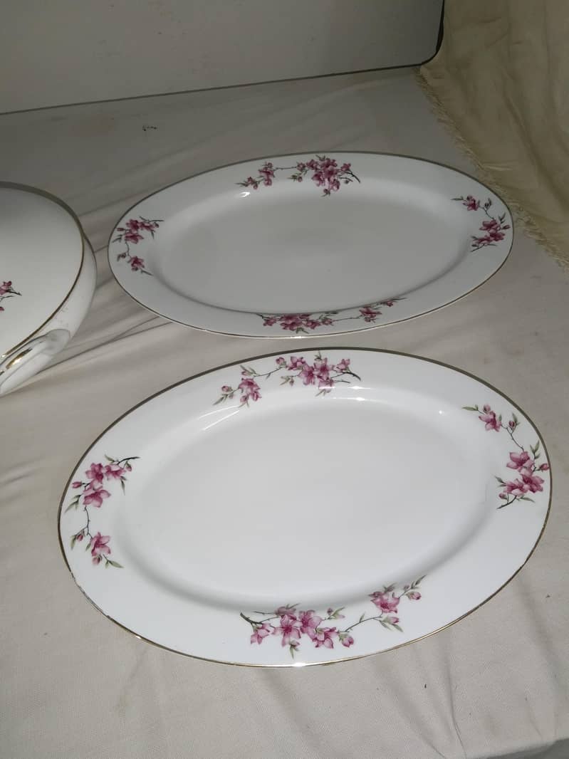Dinner set 1