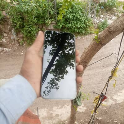 12 promax jv 93 beatryhealth 128gb