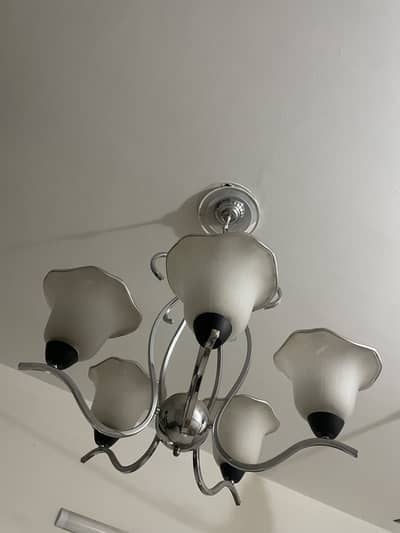 5 light chandelier for sale