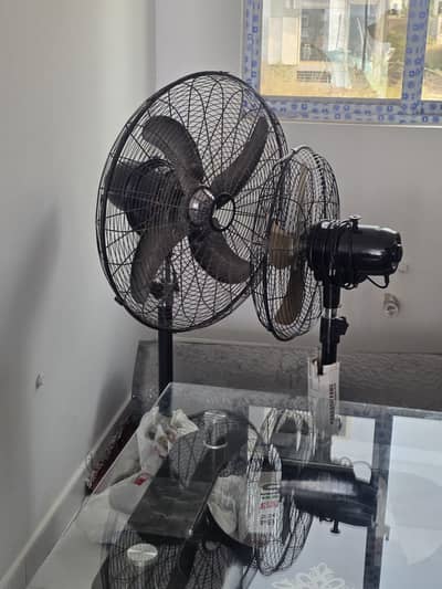 Royal 24" fan