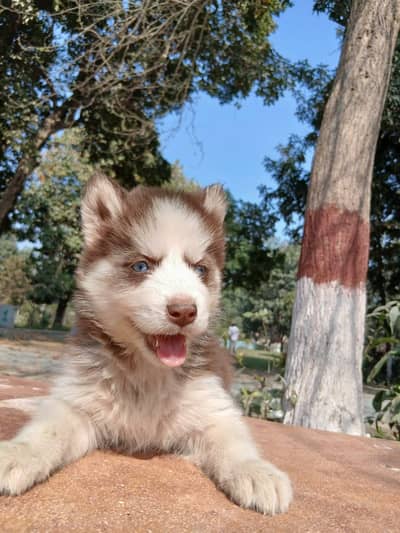 No time for take care