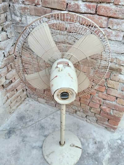 PEDESTAL FAN