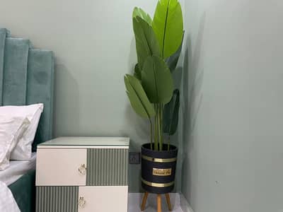 Brand New Furnished Apartment Available for Rent (Per Day)