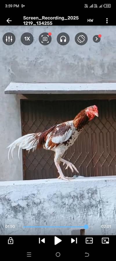 samajh mein Aaye to raabta Karen