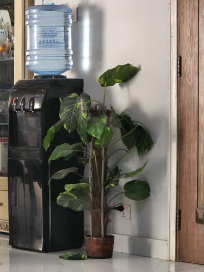 ORIENT Water dispenset