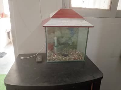Small aquarium fish tank for sale