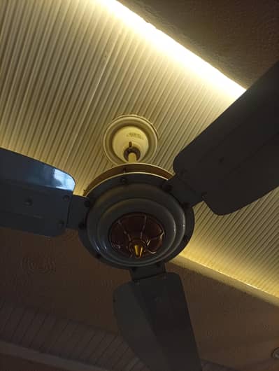 GFC Sapphire ES-44 Fan Pure Cooper winding  1-Season used