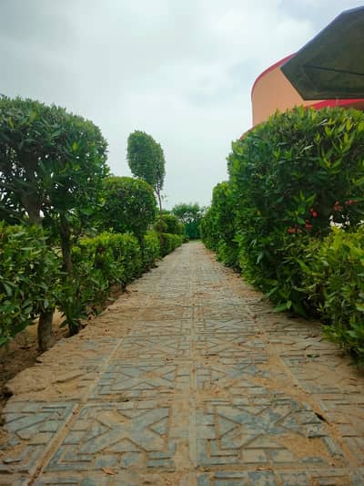 Affordable Prime Location Farm House Of 2500 Kanal Is Available For rent