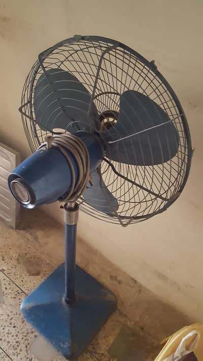 royal pedestal fan