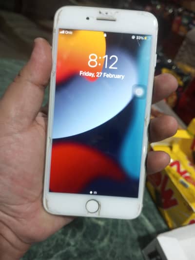 officel pta approved 7 plus