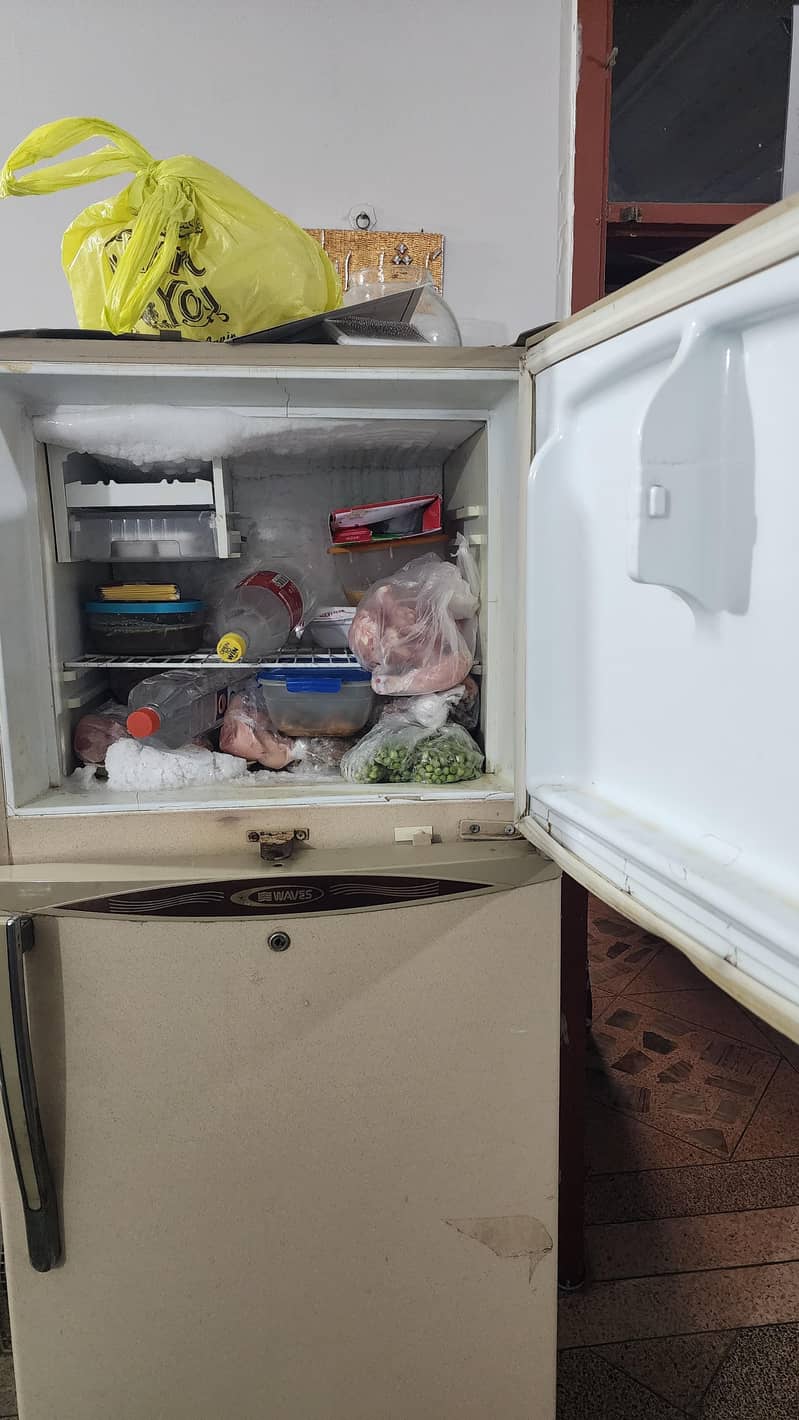 Waves refrigerator 3