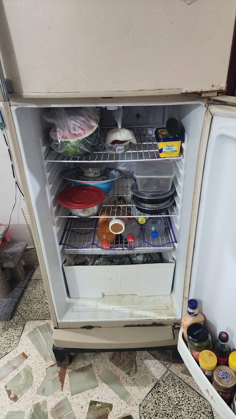 Waves refrigerator 5