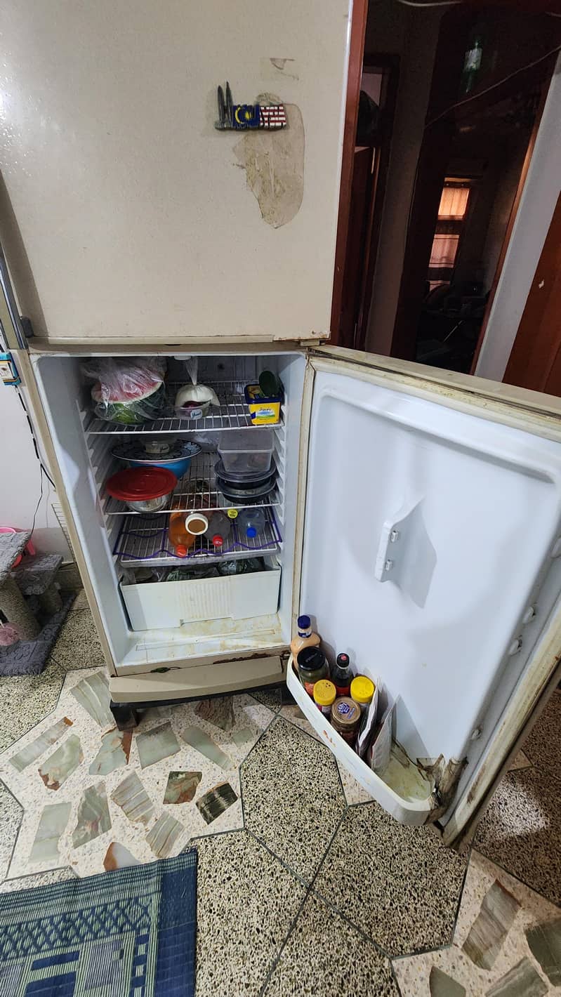 Waves refrigerator 6