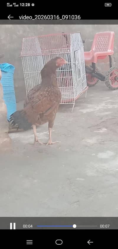 03441639826.03441639826.       03441639826