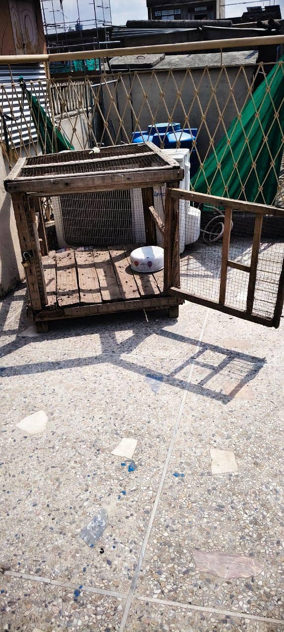 wood cage 1