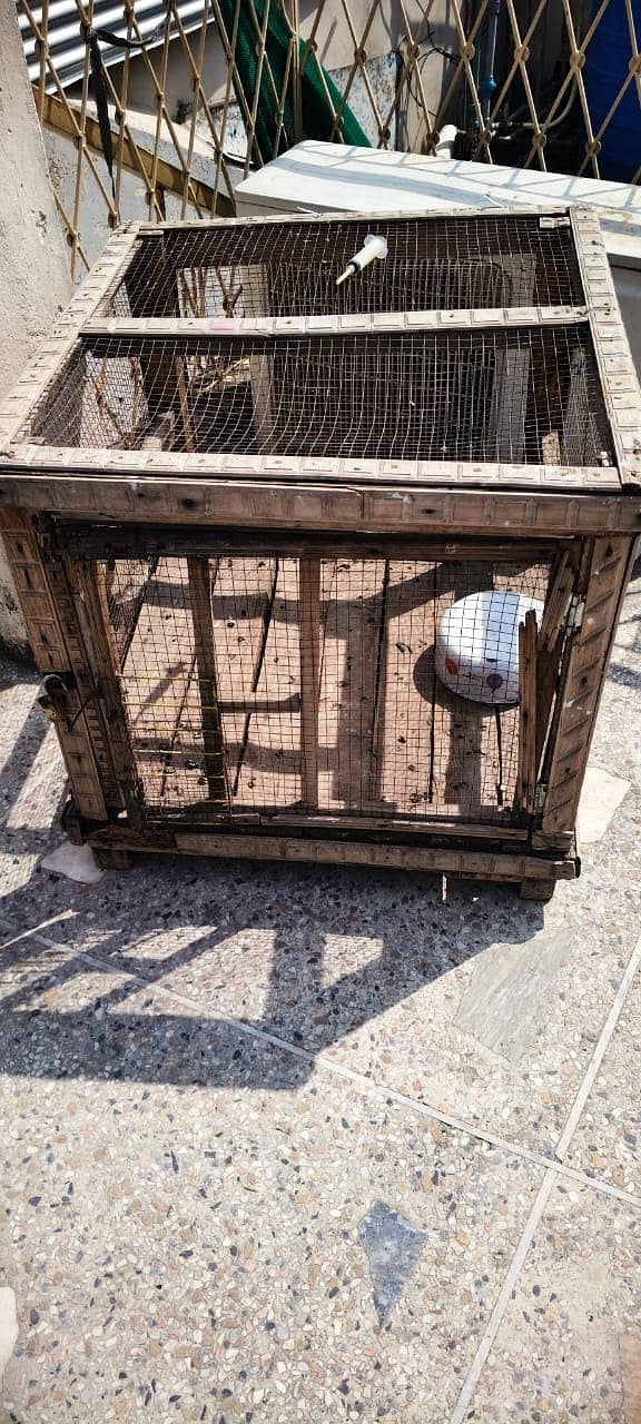 wood cage 2