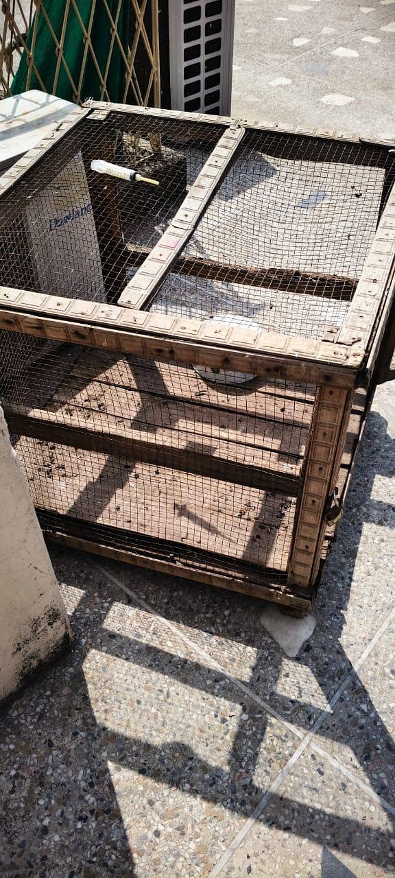 wood cage 3