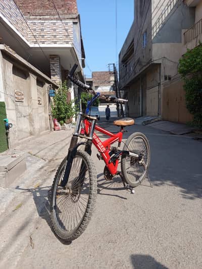 Hamber Original Cycle with Gairs Seat Suspensions Shockers available