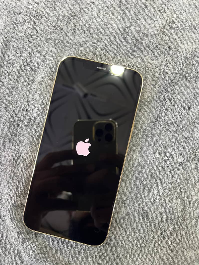 12 pro max approved 256 2