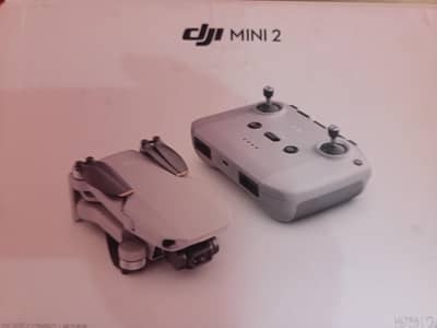dji Mini 2
