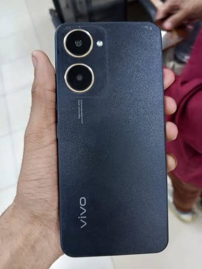 MBL vivo yo3t