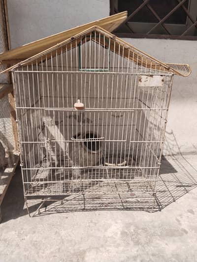 Iron cage for Australian parrots