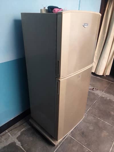 Haier Jumbo size Refrigerator