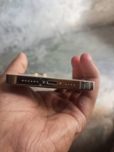 12 Pro Max 256 GB Factory unlock