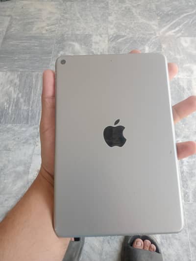 ipad mini 5