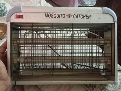 mosquito killer