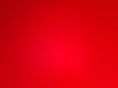 Part-Time Female Digital Marketing Assistant Required