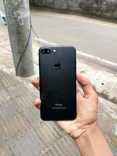 Naseem nagar qasimabad