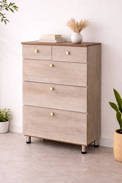 Space-Saving Shoe Cabinet | Holds 25–30 Pairs | Clean Minimal Design