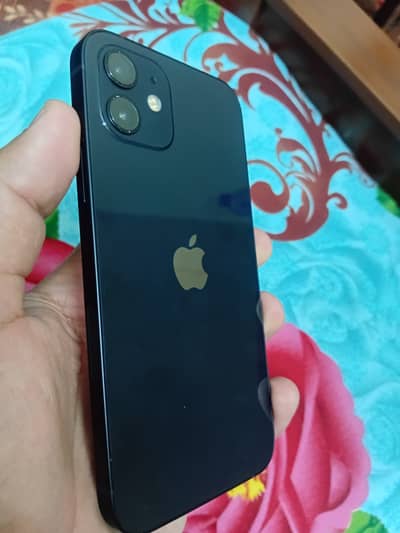 iPhone 12 Nonpta