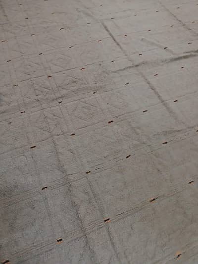 carpet in good condition