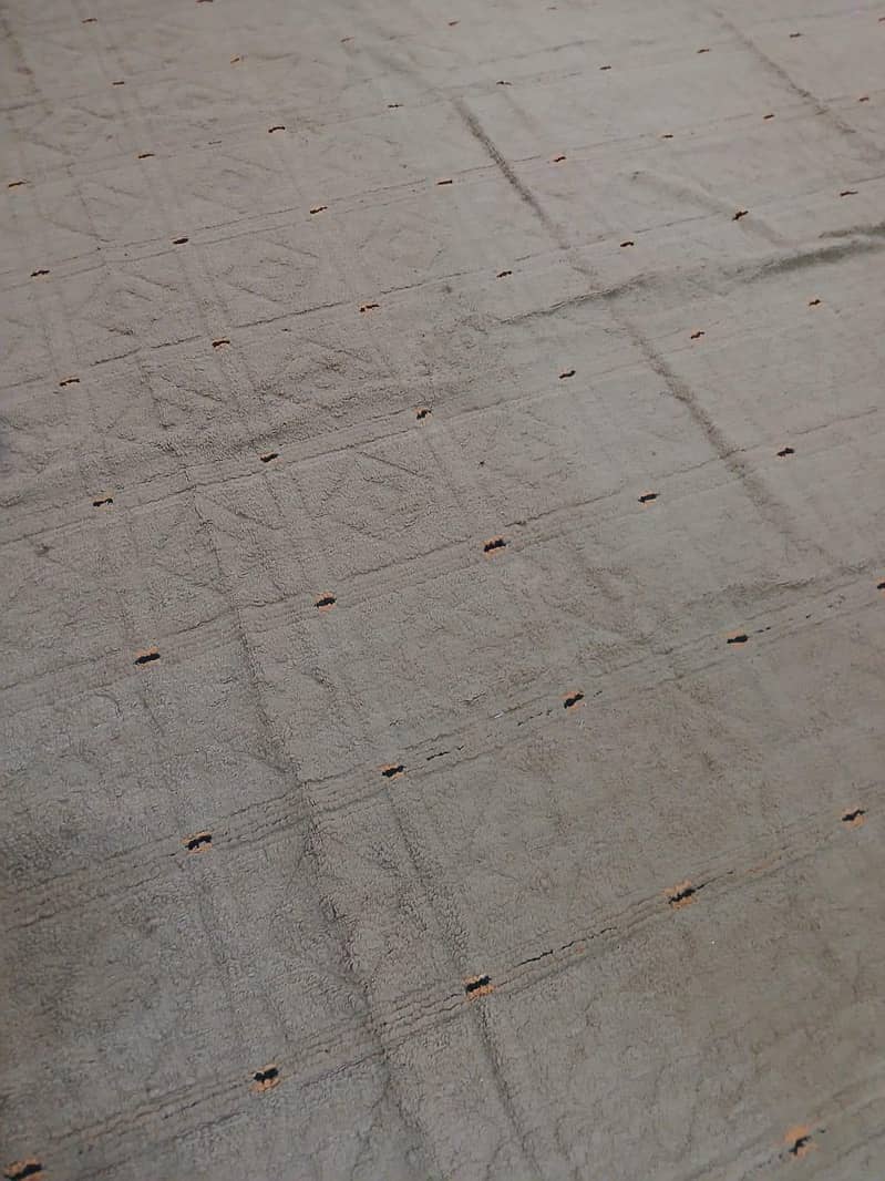 carpet in good condition 0