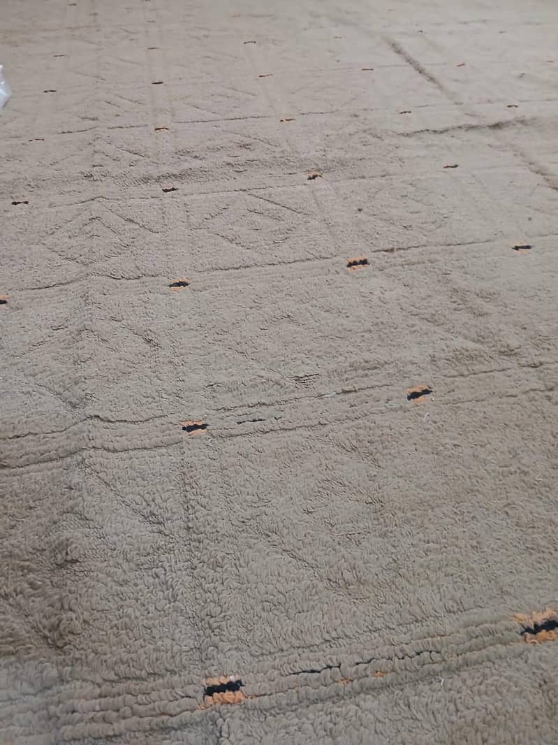 carpet in good condition 1